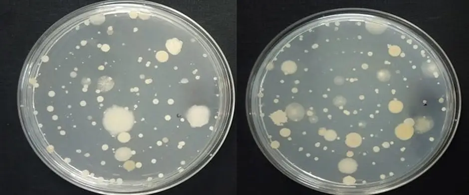 Effect of AC in air purification