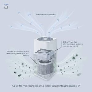 Biomoneta Receives US FDA Class II Clearance for Medical Air Cleaner